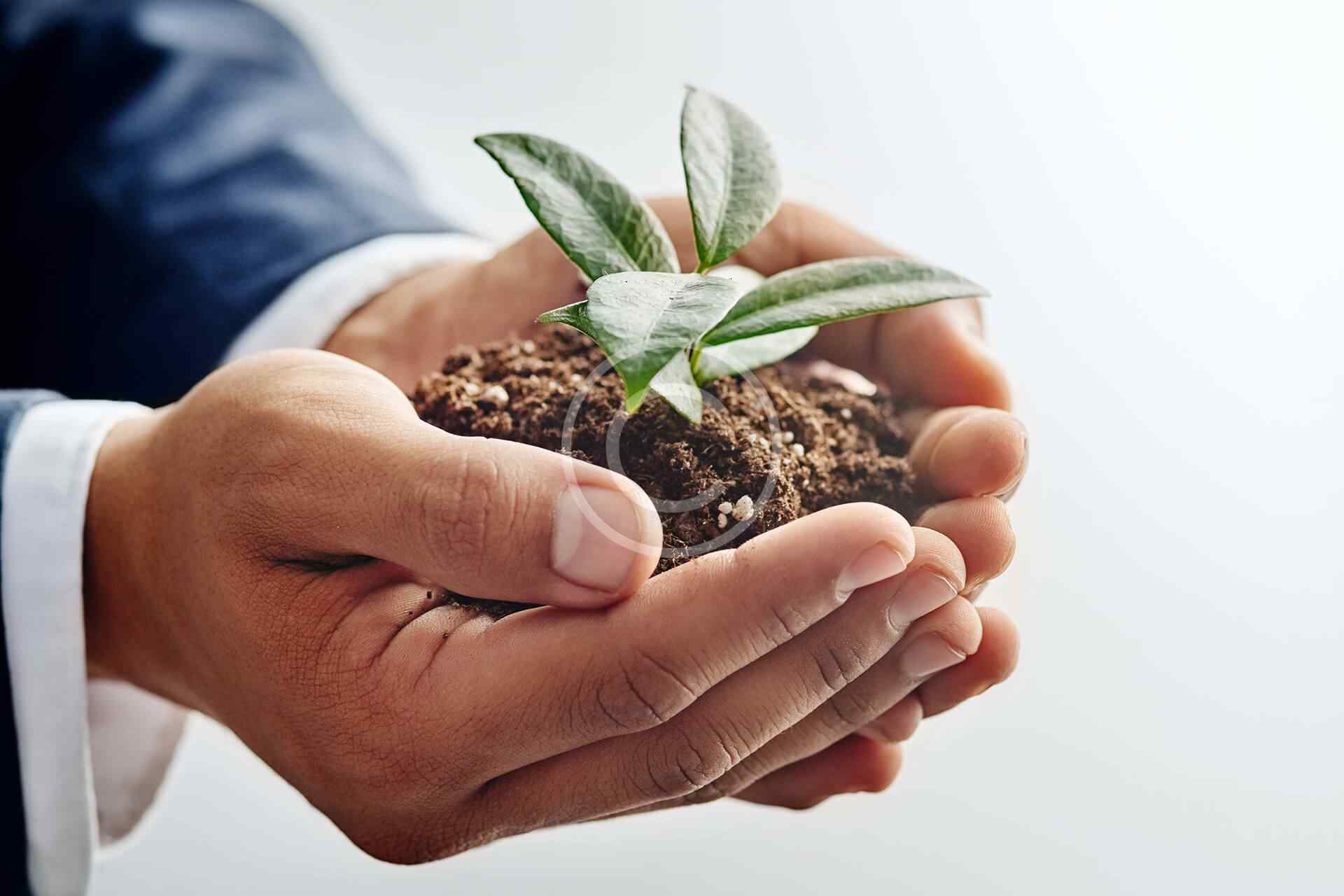 Trauma-Informed Organisational Practice